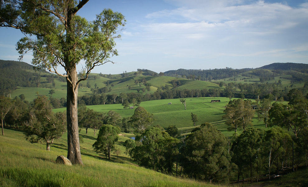 Riverwood Downs Of Barrington Tops Monkerai Eksteriør bilde